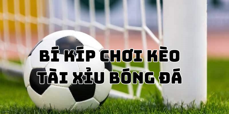 Bí kíp giúp chơi tài xỉu bóng đá dễ ăn tiền nhà cái