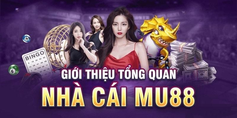 Giới thiệu thương hiệu cá cược uy tín hiện nay